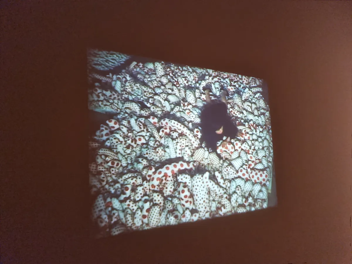 Yayoi Kusama Gallery Image 40